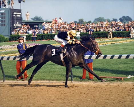 Seattle Slew